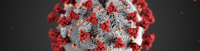 coronavirus illustration